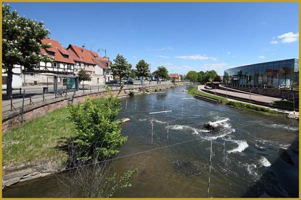 Au Bon Vieux Port Maison De Vacances Alsacienne A 10Mn De Ribeauville, Riquewihr Et Kaysersberg Selestat Ngoại thất bức ảnh